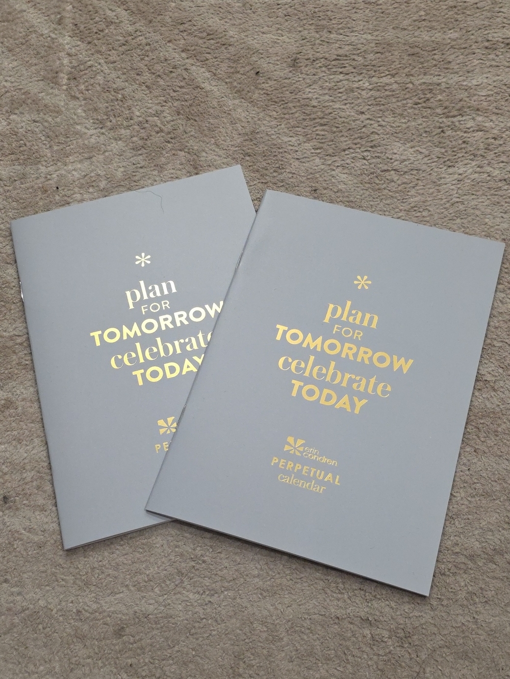 Erin Condren Perpetual Calendar Notebooks - Light Gray with Gold Foil